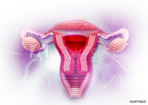 Uterine Fibroid Home Image